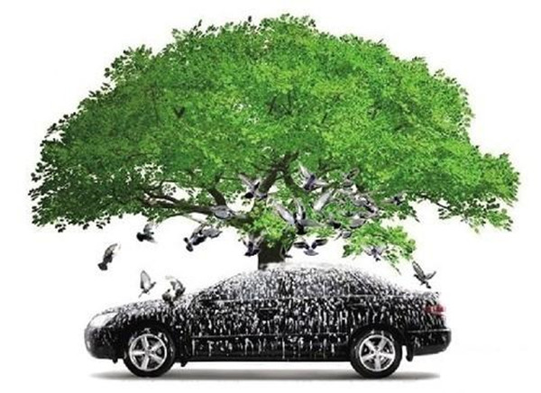 樹下也不停車_副本.jpg