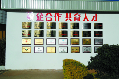 校企合作，共育人才