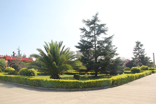 學校小花園一角