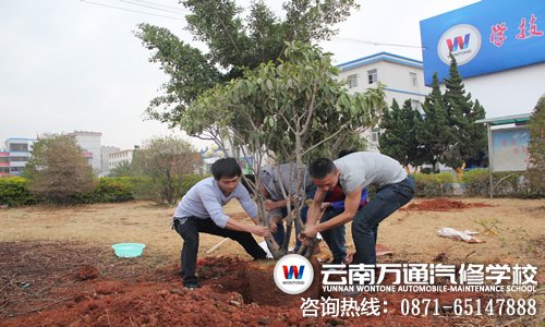 云南萬通汽修學(xué)校植樹節(jié)活動