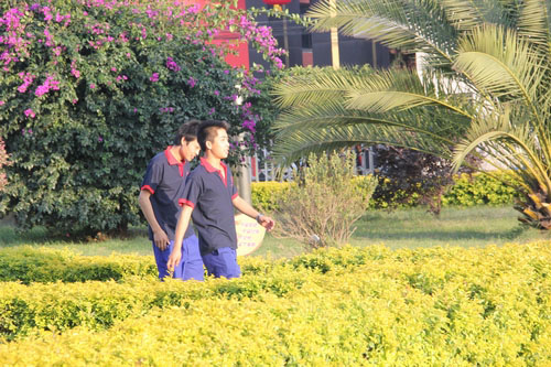 午后花園散步