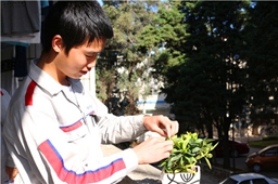 綠色環(huán)保，男生也愛(ài)小盆栽